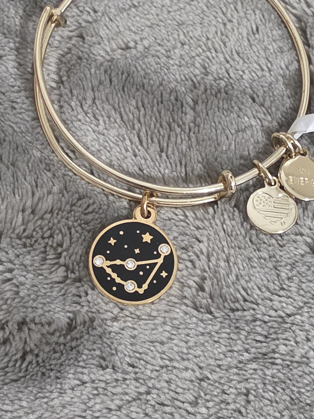 Alex and Ani Gold and Black Capricorn Zodiac Bangle - Picture 2 of 2